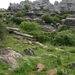 DSCN4798