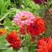 fleurige tuin in l'Argentire-la-Besse