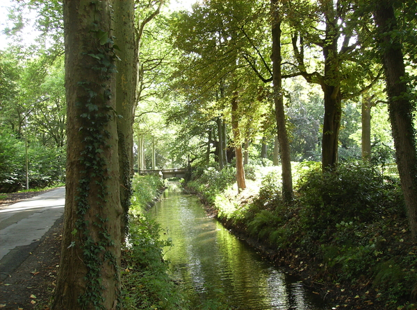 Vinderhoute Augustus 2011 021