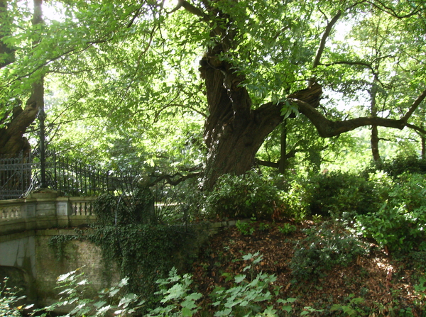 Vinderhoute Augustus 2011 022