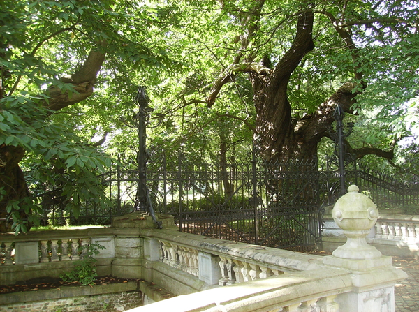 Vinderhoute Augustus 2011 024