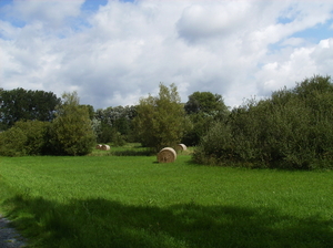 Vinderhoute Augustus 2011 030