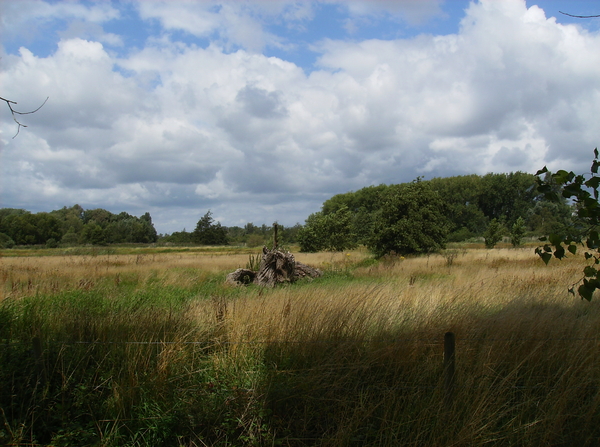Vinderhoute Augustus 2011 032