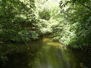 Vinderhoute Augustus 2011 033