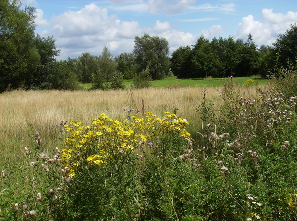 Vinderhoute Augustus 2011 037