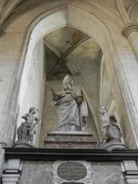 DSCN8597