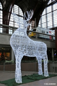 RENDIER FN 20121202_4