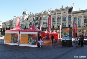 ANTWERPEN AUTOVRIJ FN 20130905_2