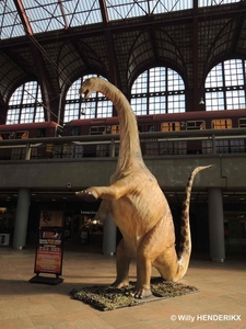 sized_DINOSUARUS FN 20140310_1