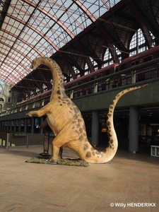 sized_DINOSUARUS FN 20140310_3