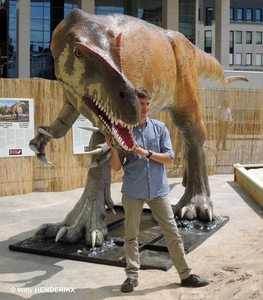 TORVOSAURUS KIEVITPLEIN FN 20140623_4