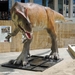 TORVOSAURUS KIEVITPLEIN FN 20140623_6