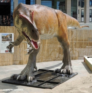 TORVOSAURUS KIEVITPLEIN FN 20140623_6