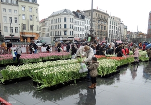 2018.01.20 'GRATIS TULPEN PLUKKEN' (9)