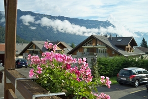 Wilderswil 2011