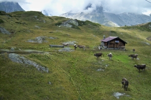 Riederalp