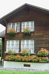 Vele bloemenhuisjes