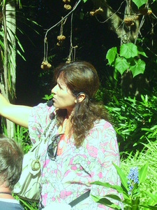 Madeira 2008 137
