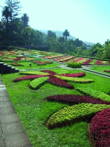 Madeira 2008 149