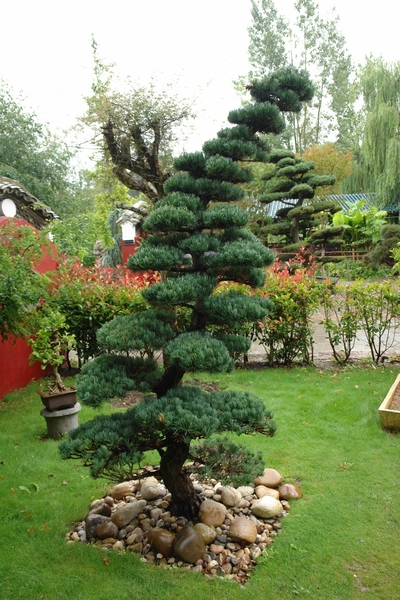 Pairi Daiza270