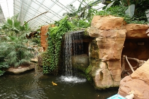 Pairi Daiza328