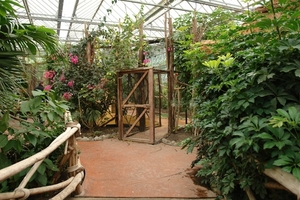 Pairi Daiza362