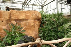 Pairi Daiza363