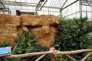 Pairi Daiza364