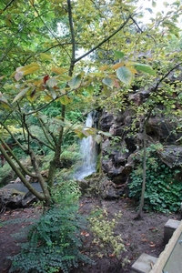 Pairi Daiza41