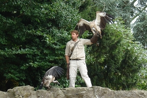 Pairi Daiza6