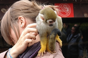 Pairi Daiza96