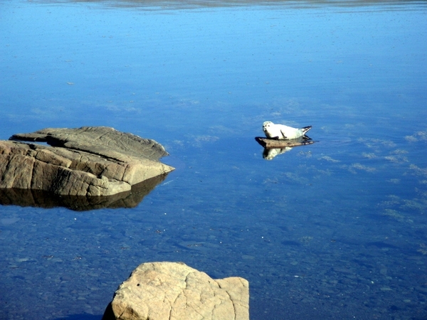 IJsland (augustus 2011) 104