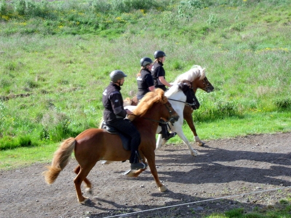 IJsland (augustus 2011) 240