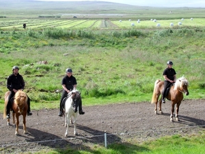 IJsland (augustus 2011) 241