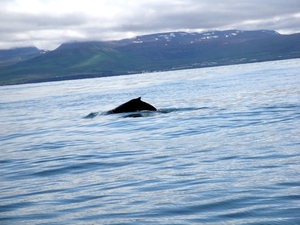 IJsland (augustus 2011) 414