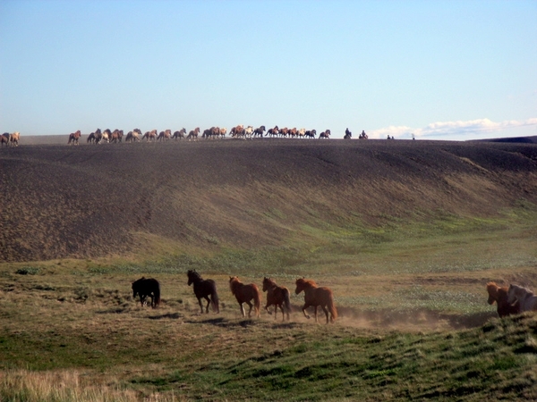 IJsland (augustus 2011) 446