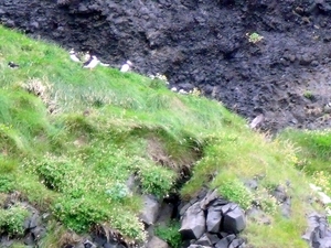 IJsland (augustus 2011) 710