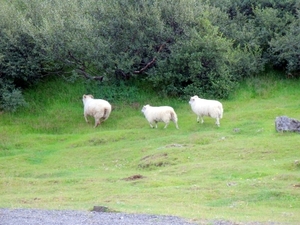 IJsland (augustus 2011) 756