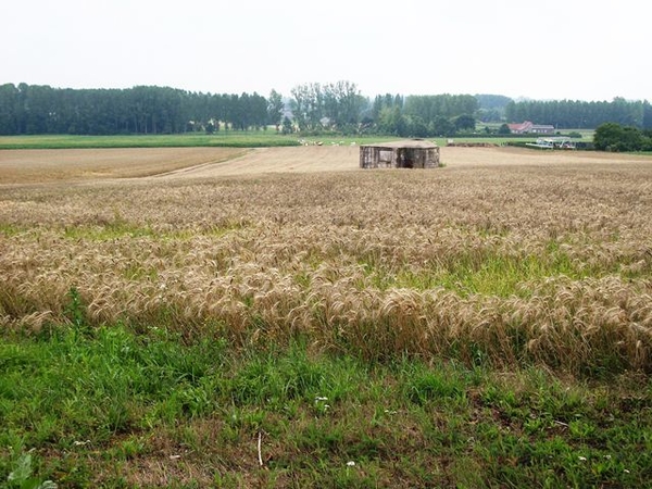 72-Landschap met bunker-Merelbeke