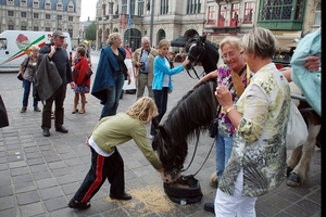 193 Gent Photoshopgroep 18.08.2011 2011