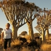 Kokerboomwoud in Keetmanshoop