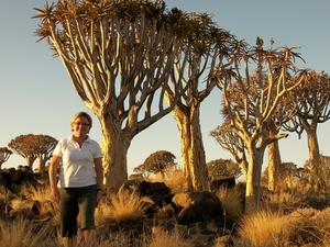 Kokerboomwoud in Keetmanshoop