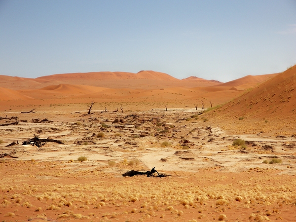 Sossusvlei/ Deadvlei met dode acacia's