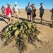 Welwitschia Mirabilis (kan 1000 jaar zijn) = levend fossiele plan