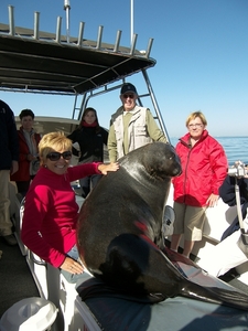 Walvisbaai boottocht