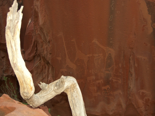 Prhistorische rotstekeningen in Twyfelfontein