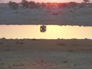 Etosha Park