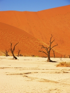 Sosussvlei / Deadvlei met dode acacia's