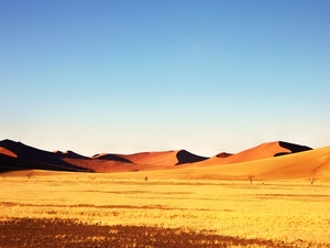 Sossusvlei Zandduinen