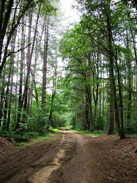 16-Gerhagen-recreatiezone van 1000ha